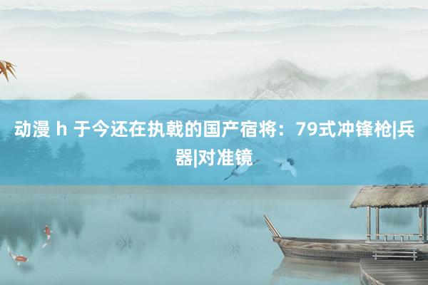 动漫 h 于今还在执戟的国产宿将：79式冲锋枪|兵器|对准镜