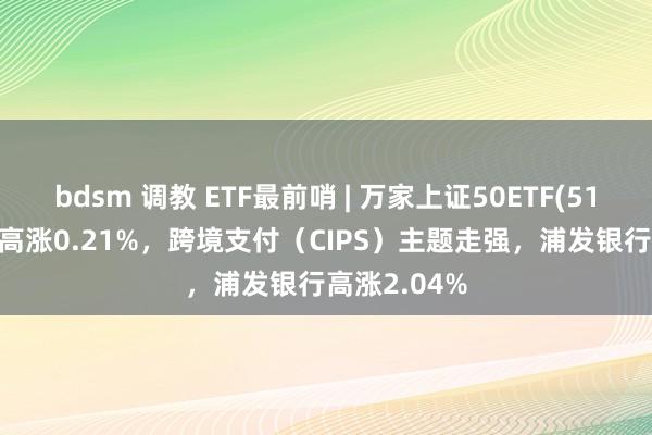 bdsm 调教 ETF最前哨 | 万家上证50ETF(510680)早盘高涨0.21%，跨境支付（CIPS）主题走强，浦发银行高涨2.04%