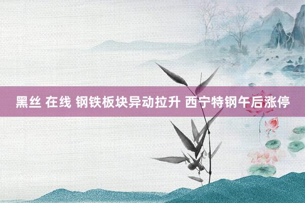 黑丝 在线 钢铁板块异动拉升 西宁特钢午后涨停
