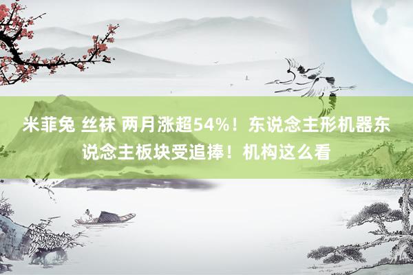 米菲兔 丝袜 两月涨超54%！东说念主形机器东说念主板块受追捧！机构这么看