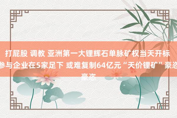 打屁股 调教 亚洲第一大锂辉石单脉矿权当天开标 参与企业在5家足下 或难复制64亿元“天价锂矿”豪恣