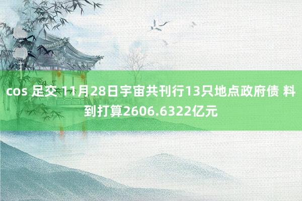 cos 足交 11月28日宇宙共刊行13只地点政府债 料到打算2606.6322亿元