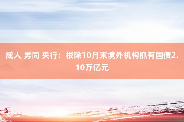 成人 男同 央行：根除10月末境外机构抓有国债2.10万亿元