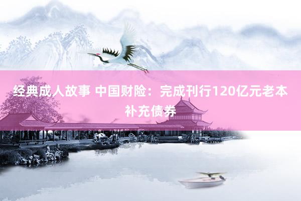 经典成人故事 中国财险：完成刊行120亿元老本补充债券