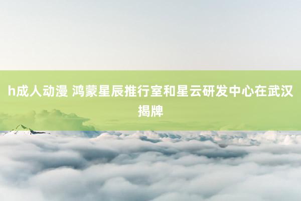 h成人动漫 鸿蒙星辰推行室和星云研发中心在武汉揭牌
