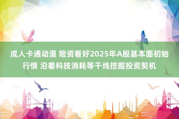 成人卡通动漫 险资看好2025年A股基本面初始行情 沿着科技消耗等干线挖掘投资契机