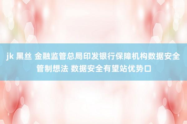 jk 黑丝 金融监管总局印发银行保障机构数据安全管制想法 数据安全有望站优势口